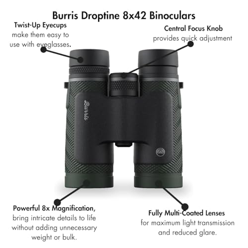 Burris Droptine HD Binocular 10x42 for Adults and Kids with High-Powered Fully Multi-Coated Lenses, Waterproof and Shockproof, Forever Warranty.