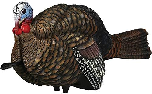 Avian-X LCD Half-Strut Jake Turkey Decoy | Durable Realistic Lifelike Collapsible Standing Hunting Decoy with Carry Bag & Stake, AVX8012