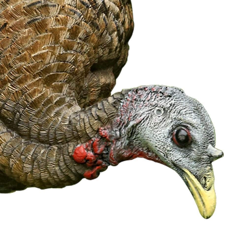 AVIAN-X LCD Feeder Hen Turkey Decoy | Durable Realistic Lifelike Collapsible Standing Hunting Decoy with Carry Bag & Stake, AVX8007