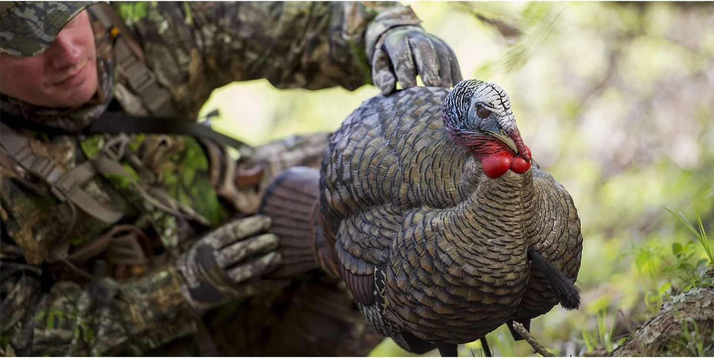 Avian-X LCD Half-Strut Jake Turkey Decoy | Durable Realistic Lifelike Collapsible Standing Hunting Decoy with Carry Bag & Stake, AVX8012