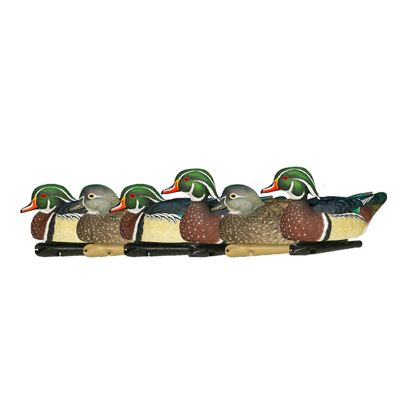 Avian X Topflight Pintail Decoys, Rugged Realistic Floating Duck Decoys for Hunting, Weight-Forward Swim Keel