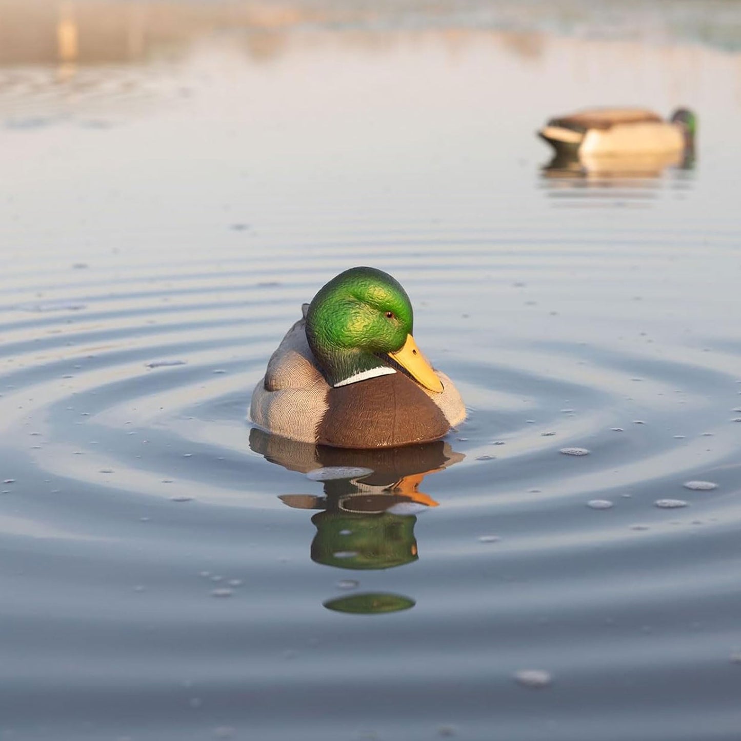 Avian X Power Shaker/Black Duck Surface Feeder