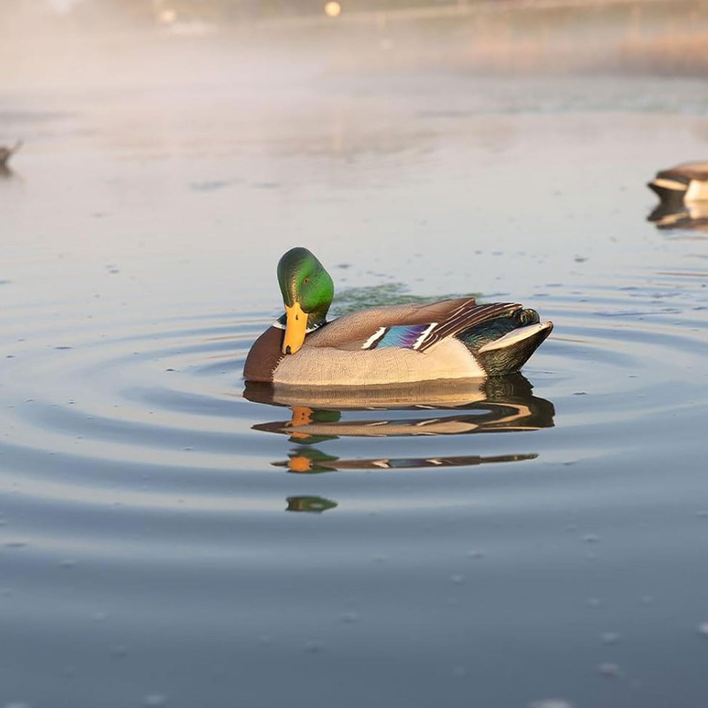 Avian X Power Shaker/Black Duck Surface Feeder