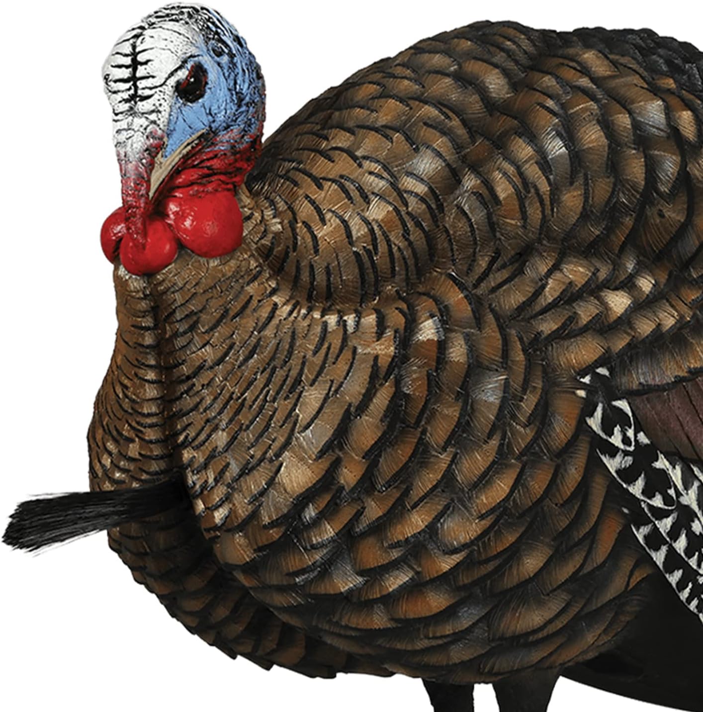 Avian-X LCD Half-Strut Jake Turkey Decoy | Durable Realistic Lifelike Collapsible Standing Hunting Decoy with Carry Bag & Stake, AVX8012