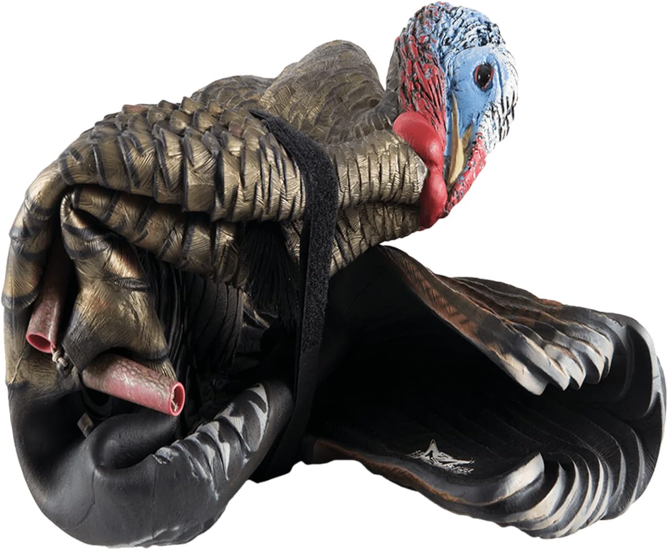 Avian-X LCD Half-Strut Jake Turkey Decoy | Durable Realistic Lifelike Collapsible Standing Hunting Decoy with Carry Bag & Stake, AVX8012