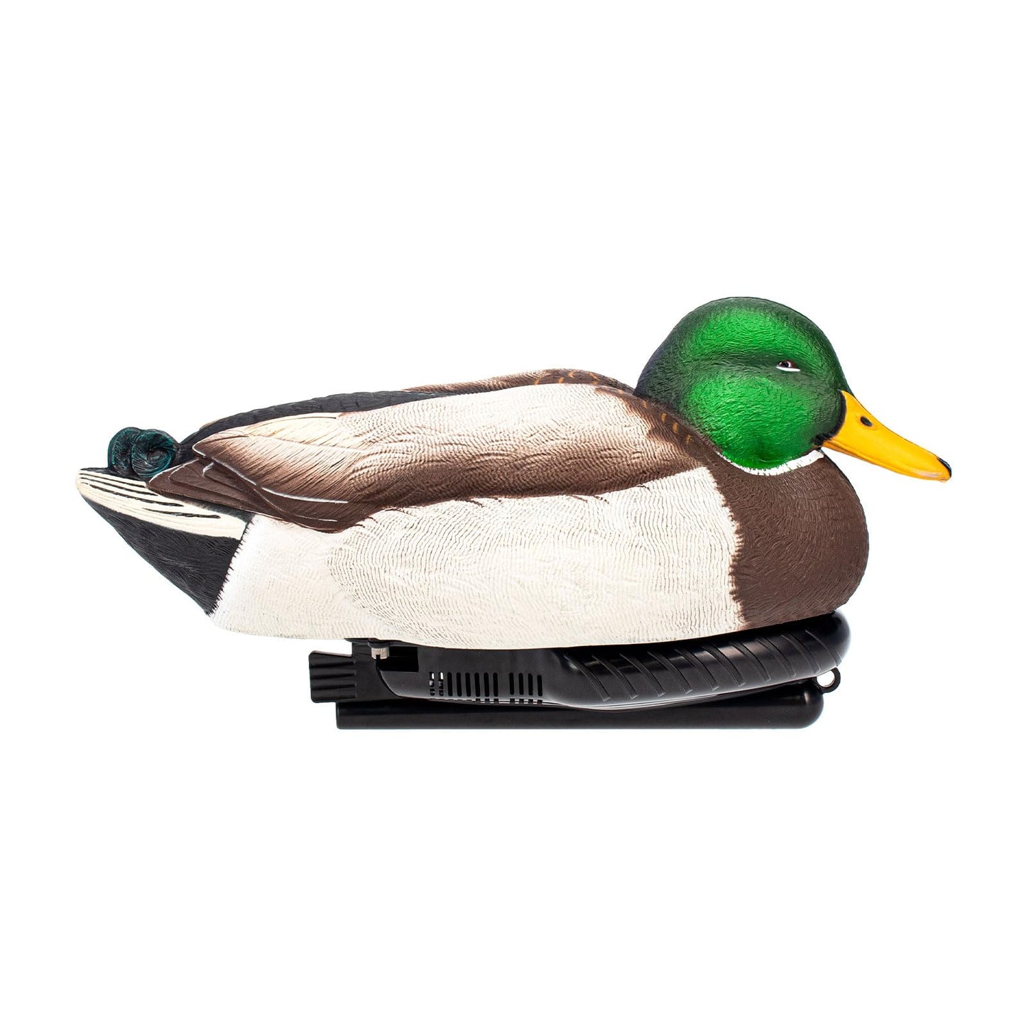Avian X Power Swimmer/Pintail Drake
