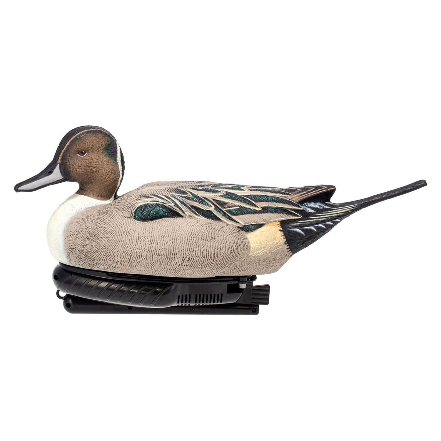Avian X Power Swimmer/Pintail Drake