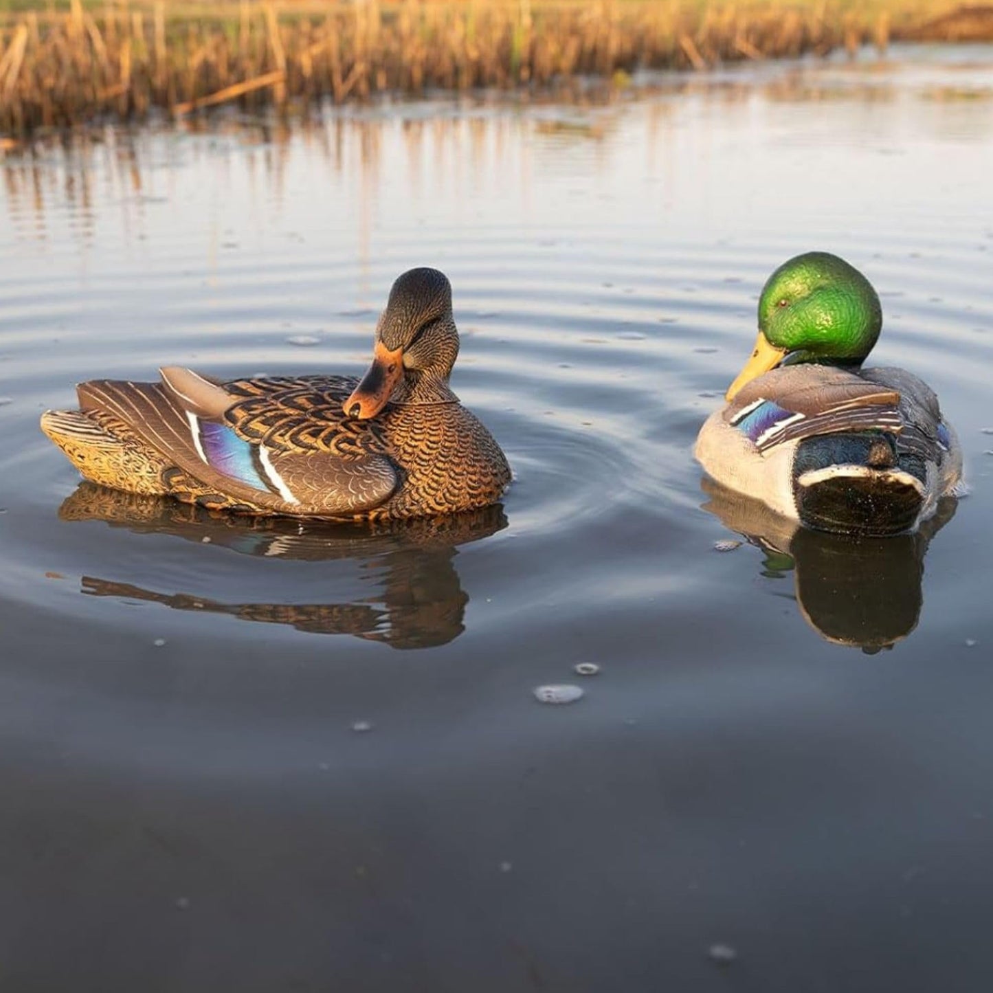 Avian X Power Shaker/Black Duck Surface Feeder