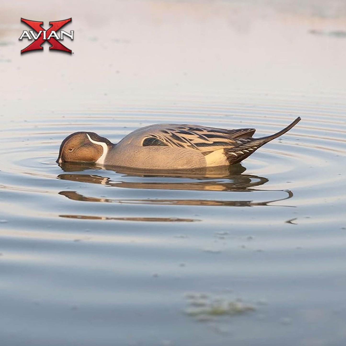 Avian X Power Shaker/Black Duck Surface Feeder
