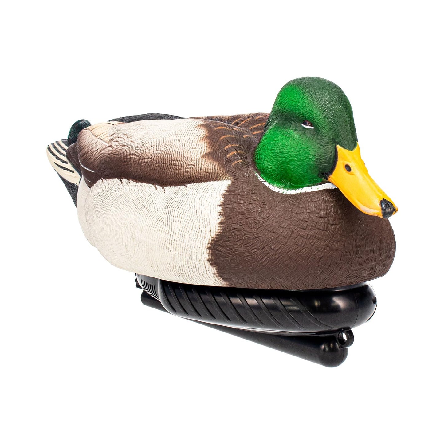 Avian X Power Swimmer/Pintail Drake
