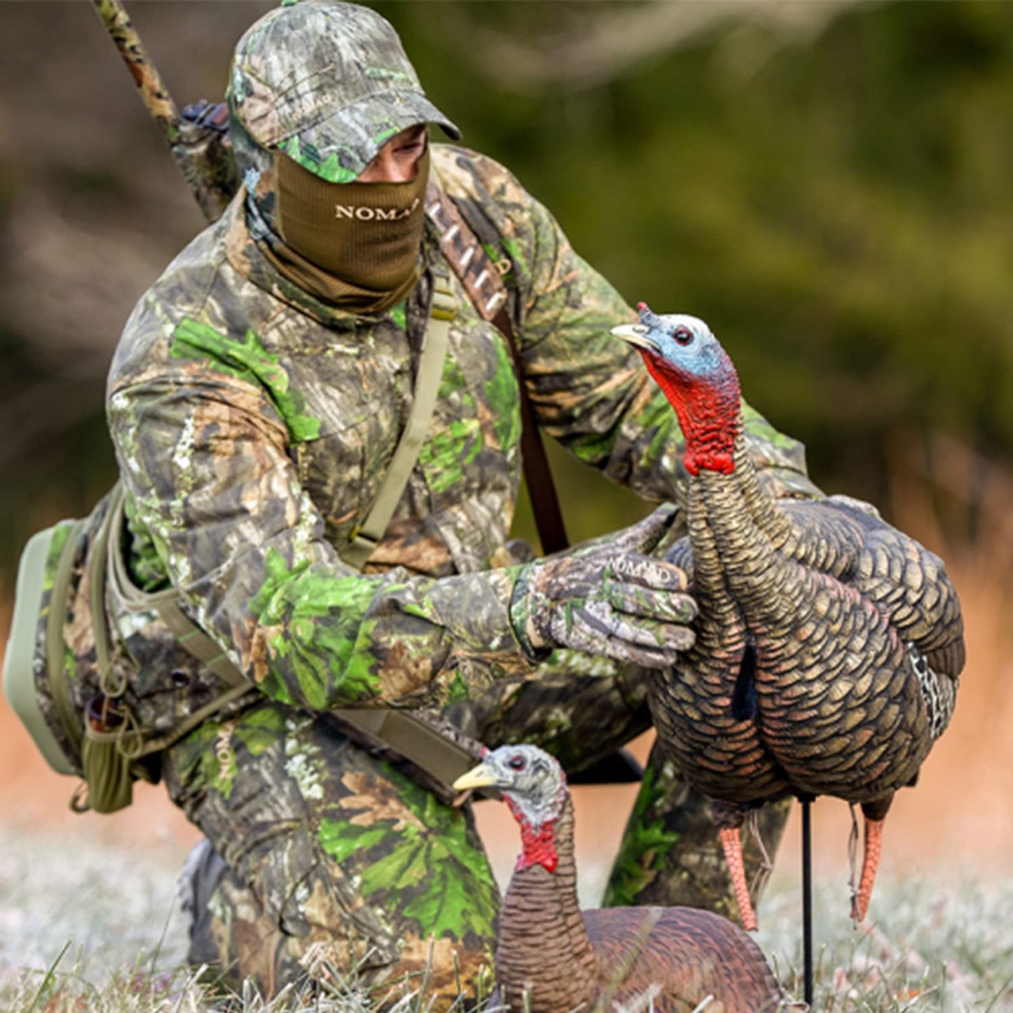 Avian-X HDR Jake Turkey Decoy | Rugged Durable Realistic Lifelike Quarter-Strut Body Standing Hunting Decoy with 2 Removable Heads, Mounting Stake & Carry Bag