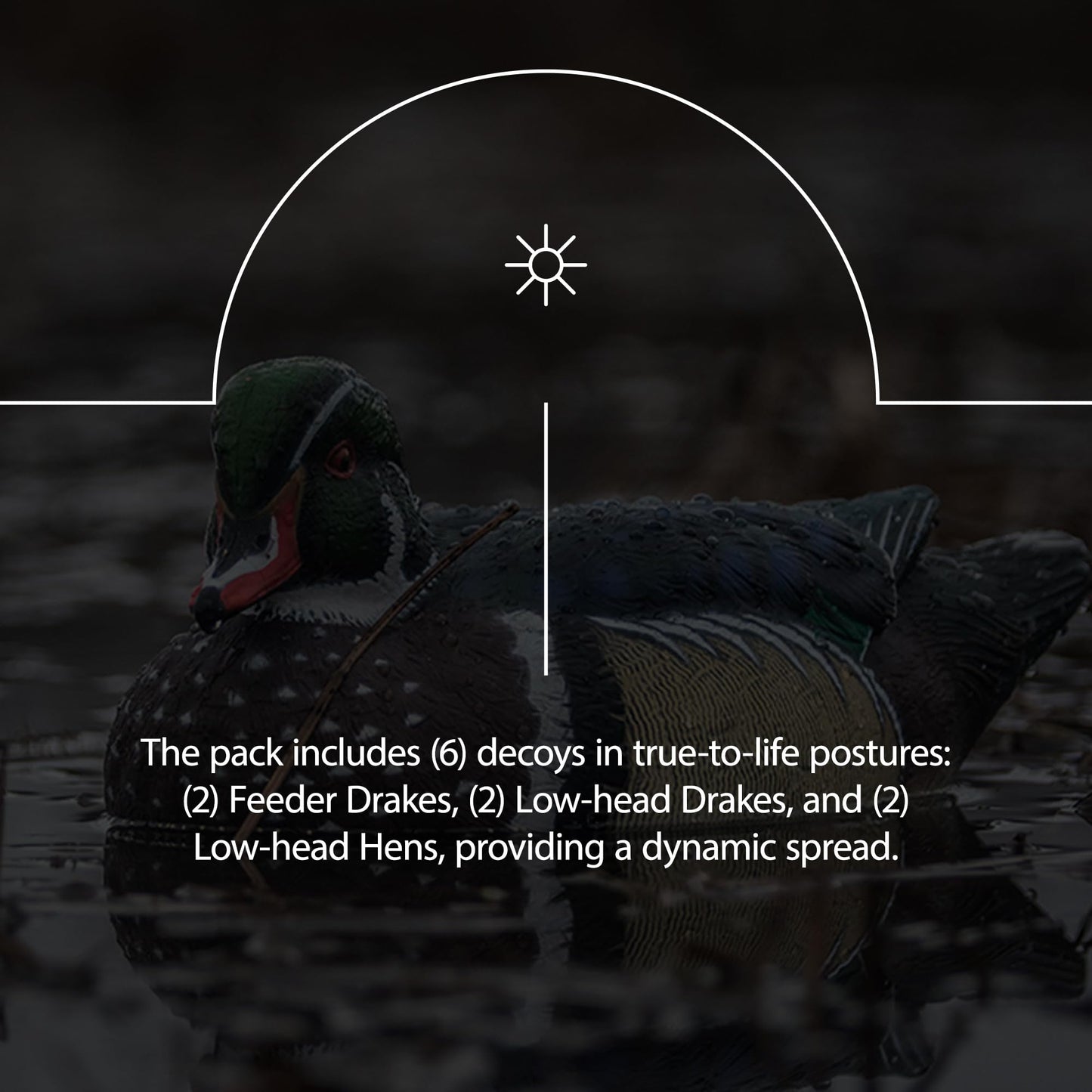 Avian X Topflight Pintail Decoys, Rugged Realistic Floating Duck Decoys for Hunting, Weight-Forward Swim Keel