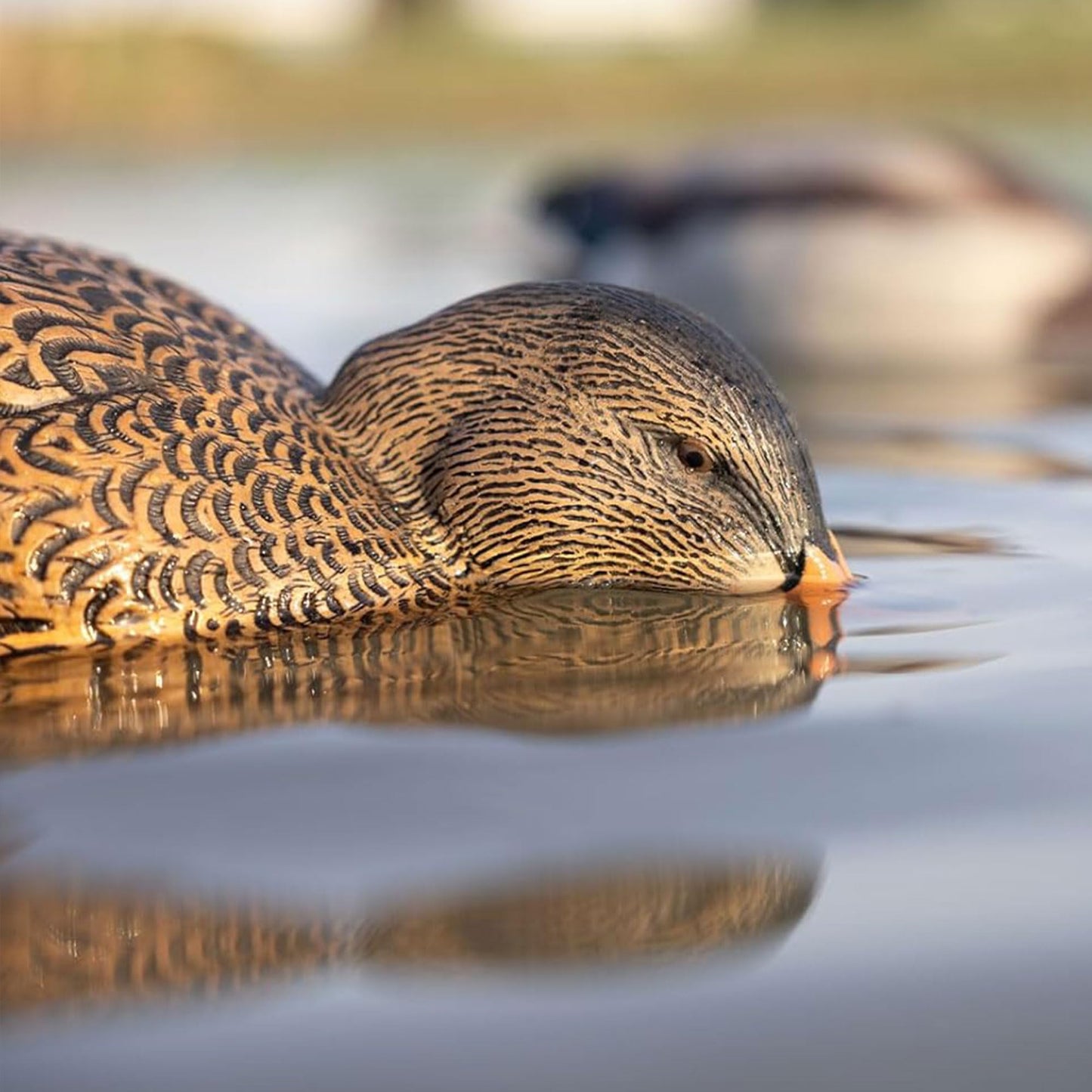 Avian X Power Shaker/Black Duck Surface Feeder
