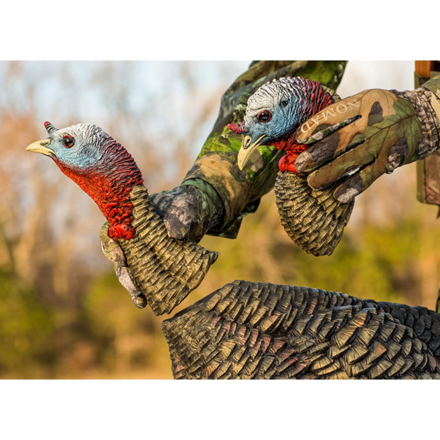 Avian-X HDR Jake Turkey Decoy | Rugged Durable Realistic Lifelike Quarter-Strut Body Standing Hunting Decoy with 2 Removable Heads, Mounting Stake & Carry Bag