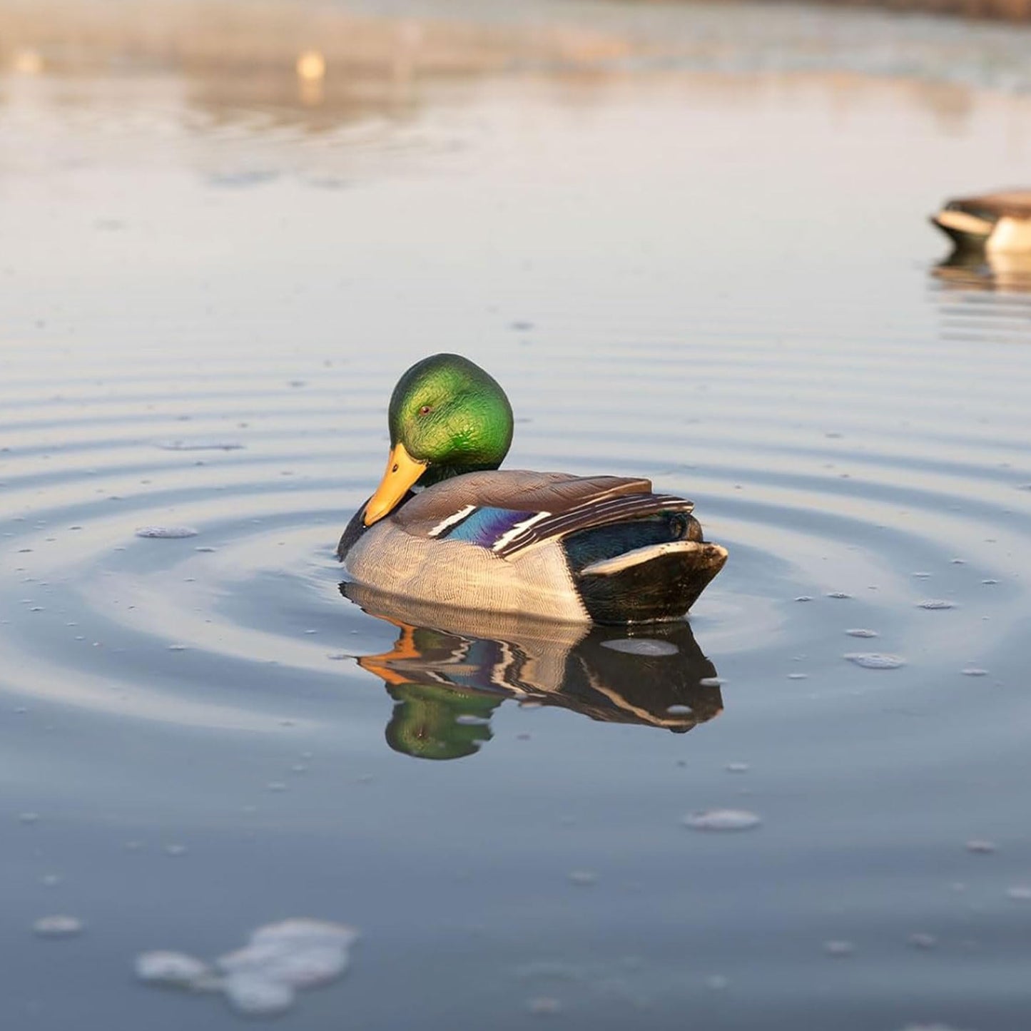 Avian X Power Shaker/Black Duck Surface Feeder