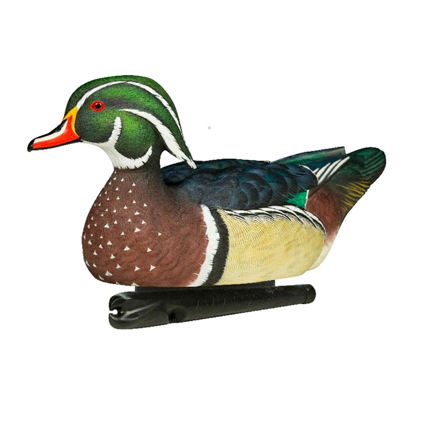 Avian X Topflight Pintail Decoys, Rugged Realistic Floating Duck Decoys for Hunting, Weight-Forward Swim Keel