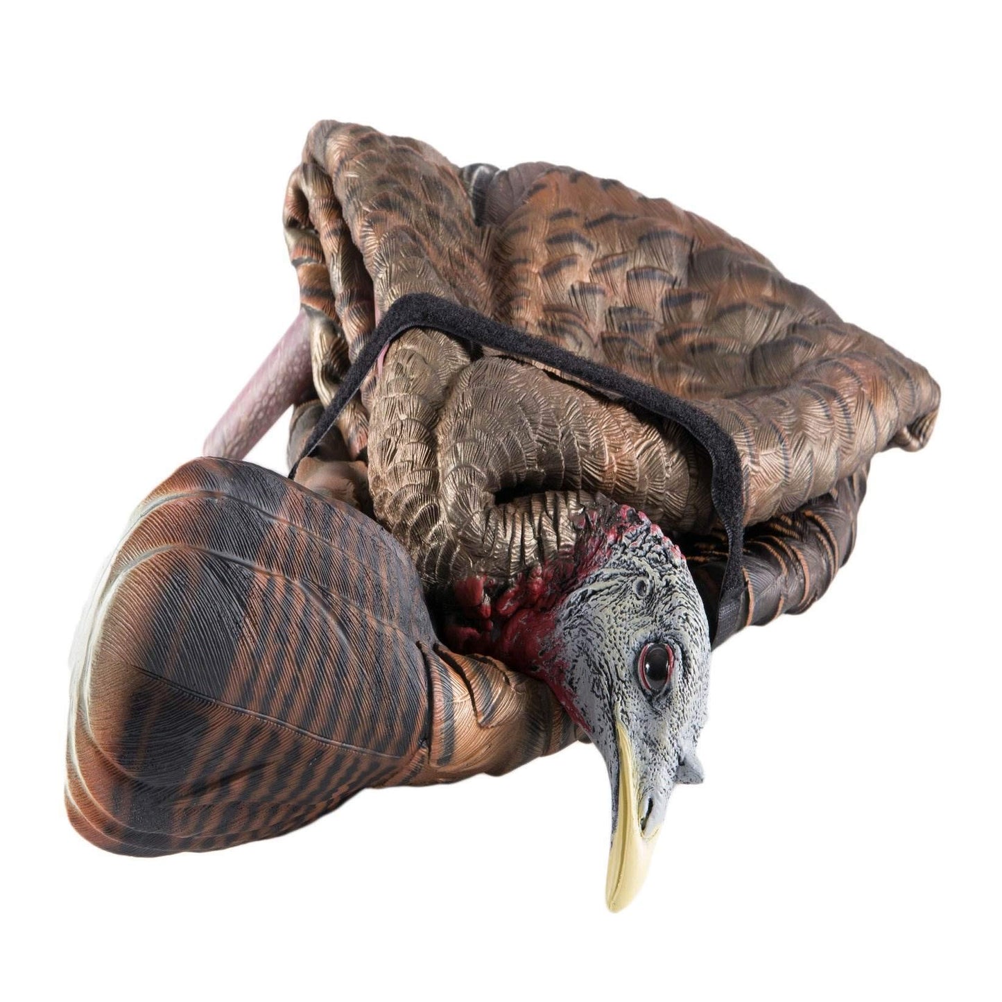 AVIAN-X LCD Feeder Hen Turkey Decoy | Durable Realistic Lifelike Collapsible Standing Hunting Decoy with Carry Bag & Stake, AVX8007