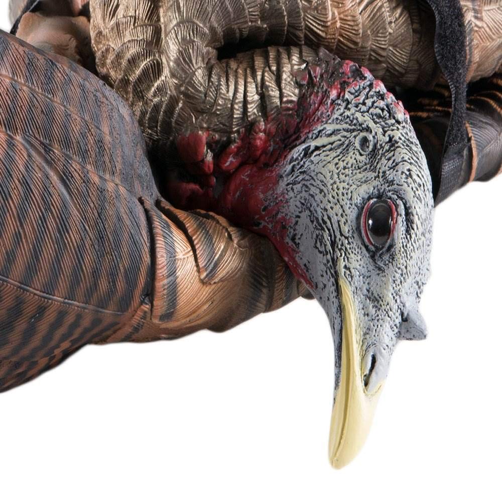 AVIAN-X LCD Feeder Hen Turkey Decoy | Durable Realistic Lifelike Collapsible Standing Hunting Decoy with Carry Bag & Stake, AVX8007