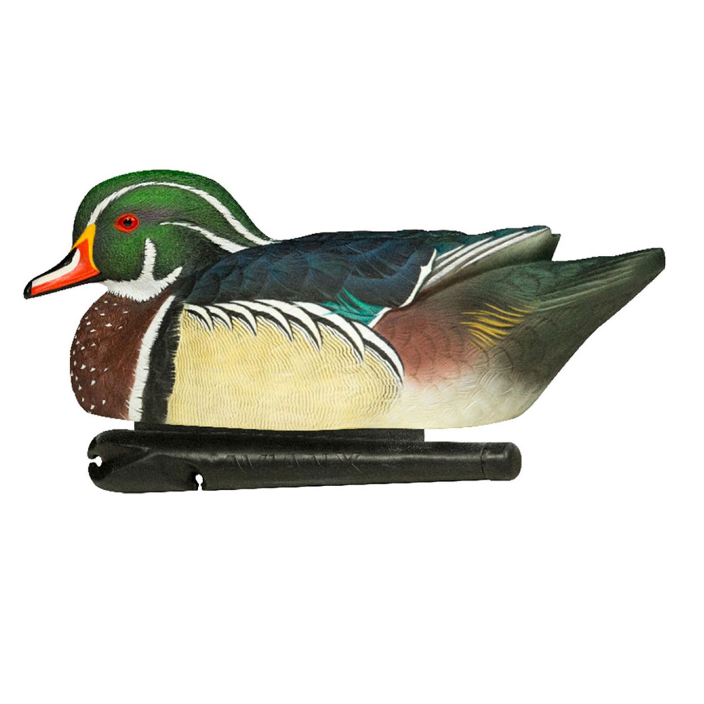 Avian X Topflight Pintail Decoys, Rugged Realistic Floating Duck Decoys for Hunting, Weight-Forward Swim Keel