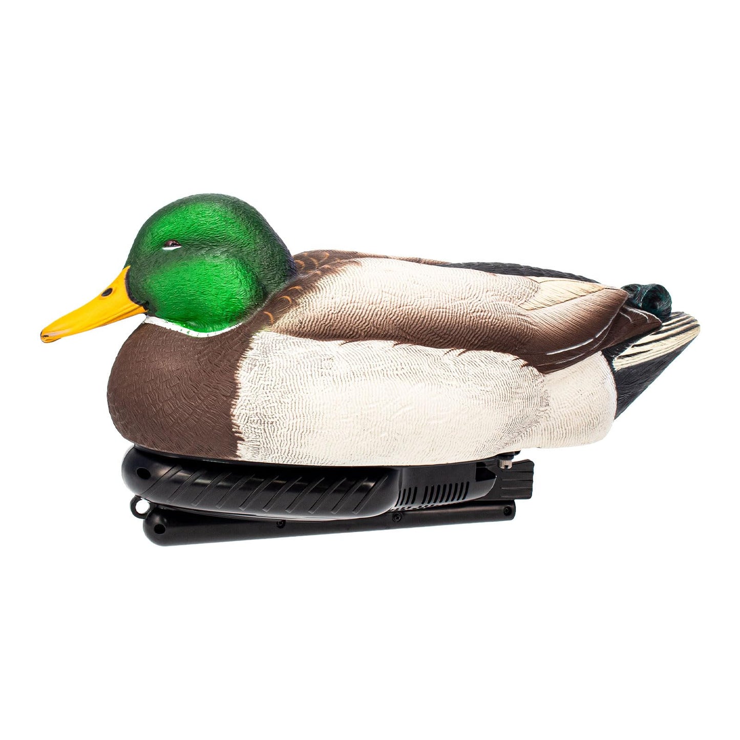 Avian X Power Swimmer/Pintail Drake