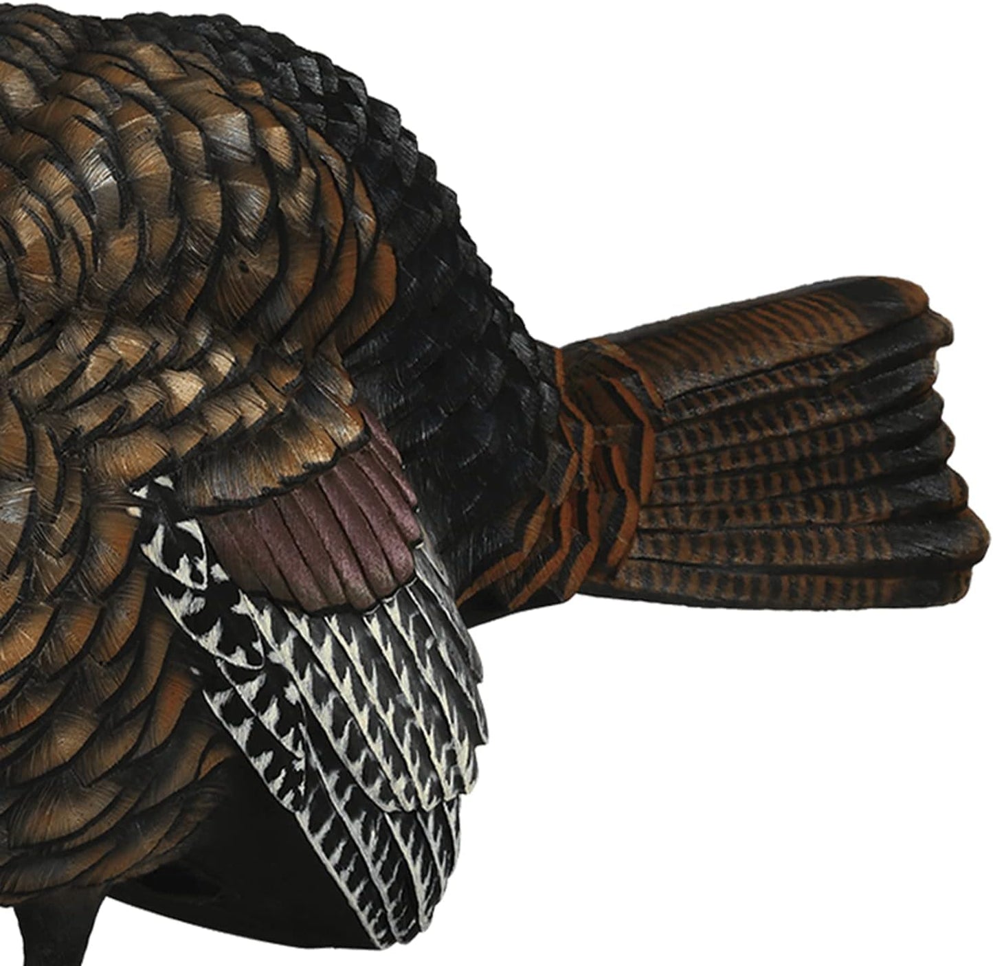Avian-X LCD Half-Strut Jake Turkey Decoy | Durable Realistic Lifelike Collapsible Standing Hunting Decoy with Carry Bag & Stake, AVX8012