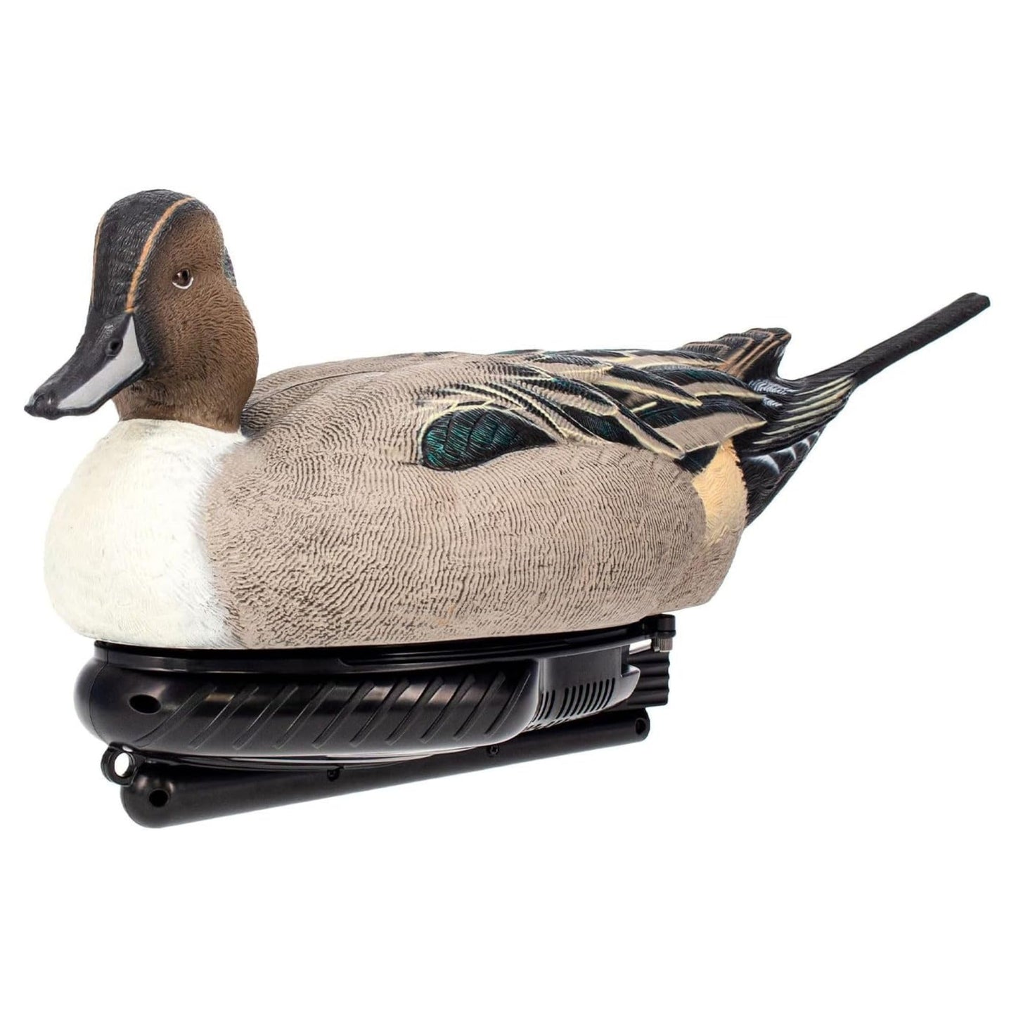 Avian X Power Swimmer/Pintail Drake