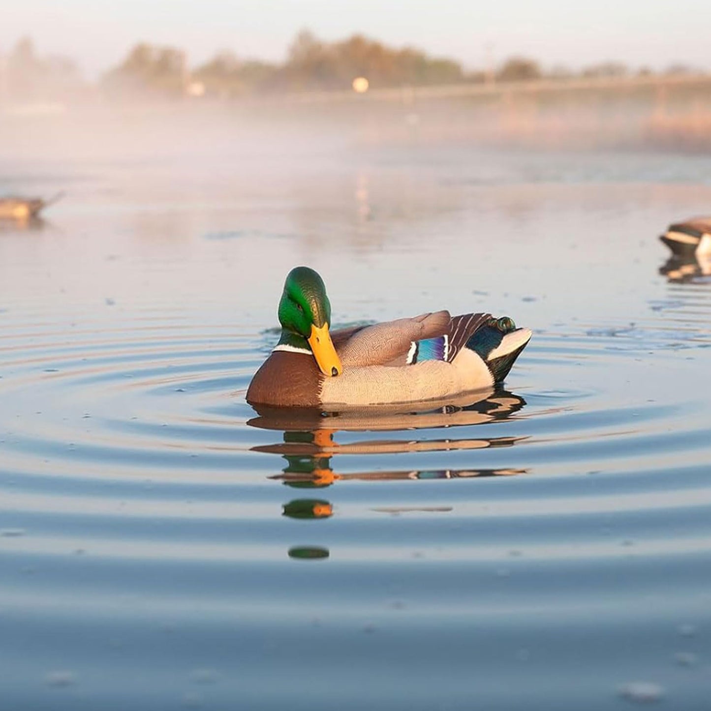 Avian X Power Shaker/Black Duck Surface Feeder