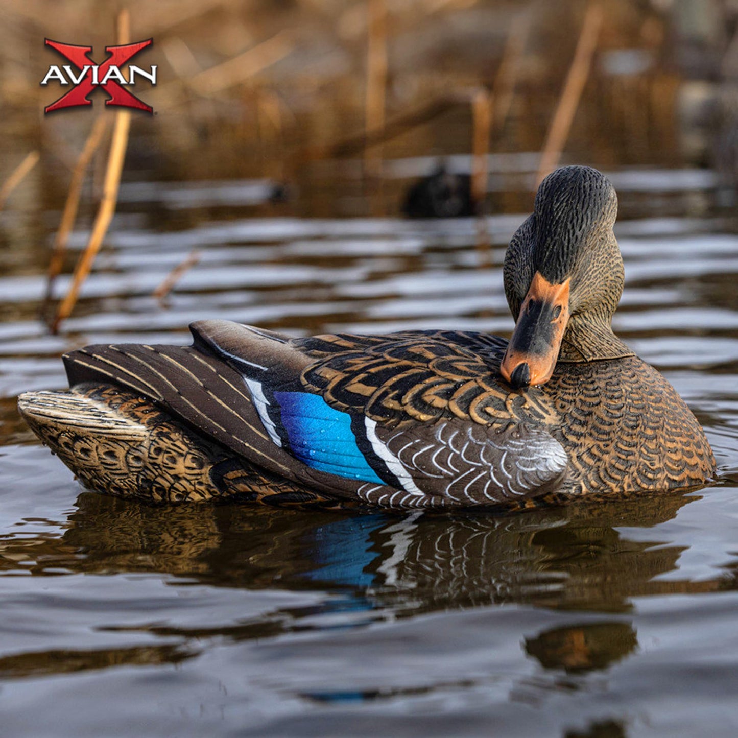 Avian X Power Shaker/Black Duck Surface Feeder