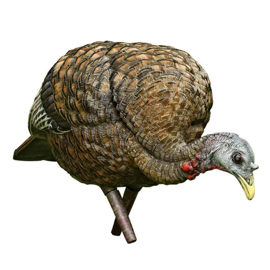AVIAN-X LCD Feeder Hen Turkey Decoy | Durable Realistic Lifelike Collapsible Standing Hunting Decoy with Carry Bag & Stake, AVX8007
