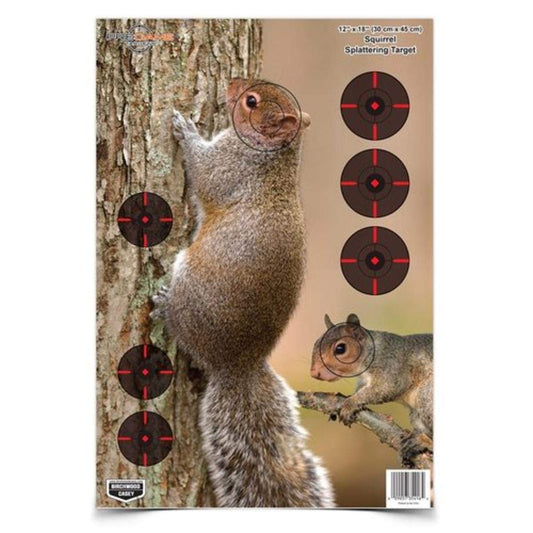 BIRCHWOOD CASEY Pregame 12" x 18" Small Game Animal Targets - Photo-Realistic Instant Splattering Shooting Targets - for Use with All Guns & Calibers - 8 Targets Pack