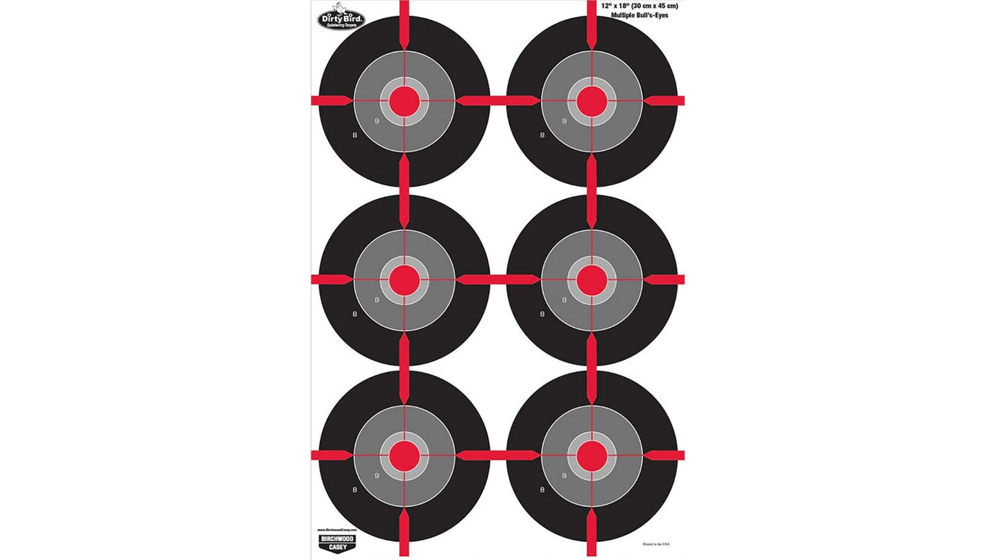 Birchwood Casey Non-Adhesive Dirty Bird 12"x18" Splattering Targets Practice Shooting for Indoor and Outdoor Use
