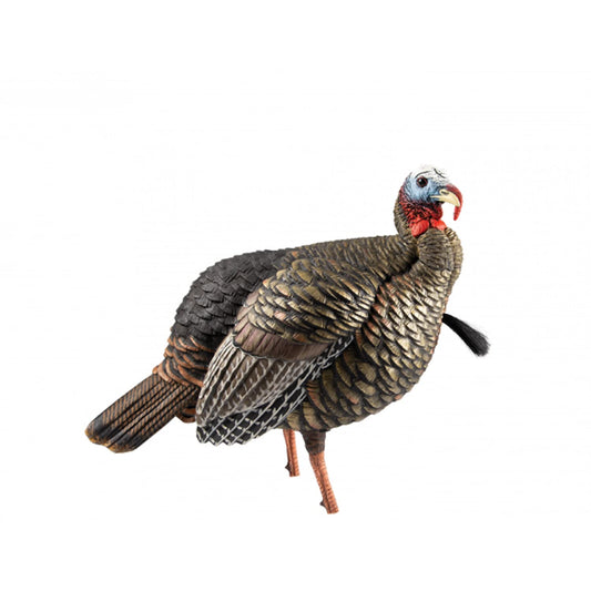 Avian-X HDR Jake Turkey Decoy | Rugged Durable Realistic Lifelike Quarter-Strut Body Standing Hunting Decoy with 2 Removable Heads, Mounting Stake & Carry Bag