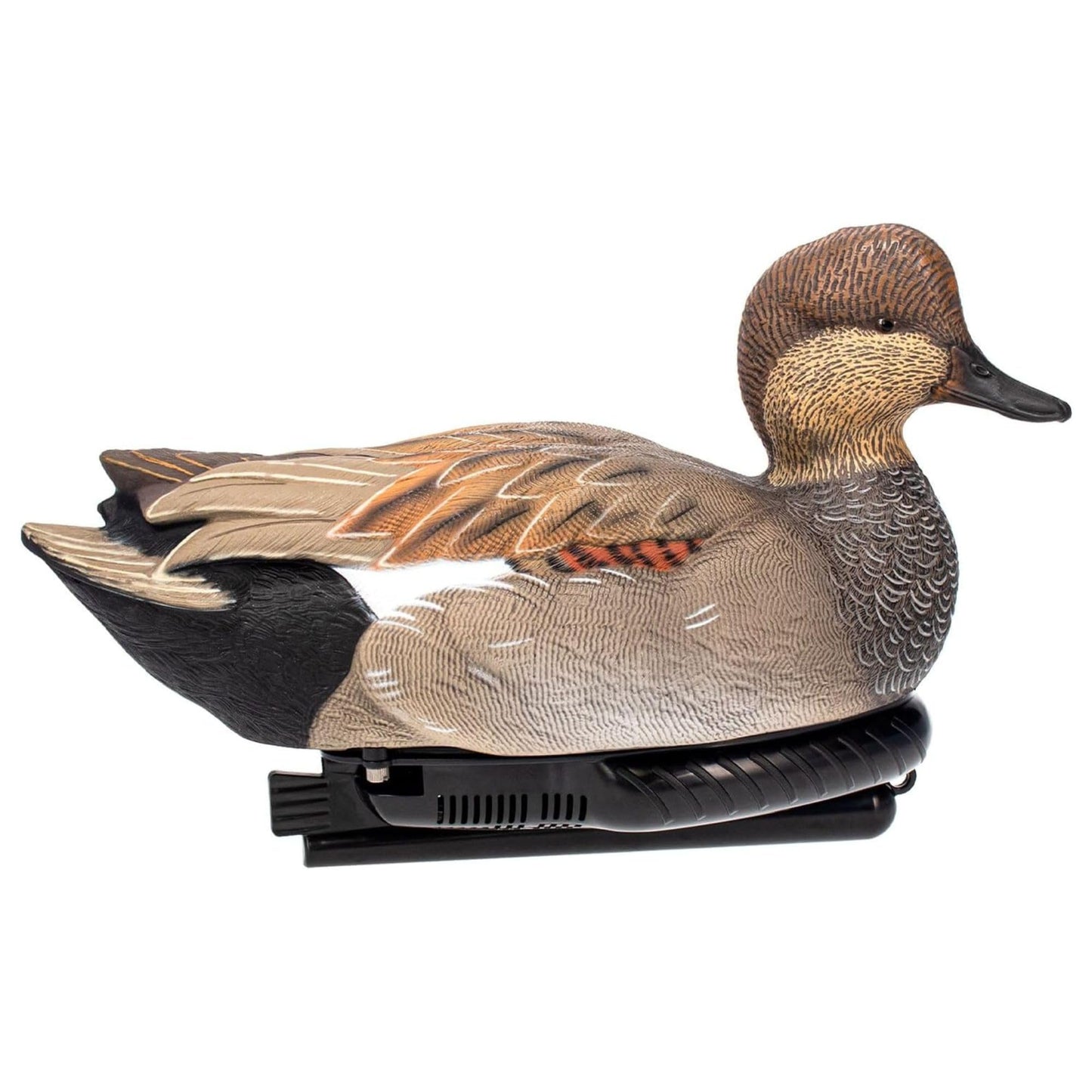 Avian X Power Swimmer/Pintail Drake