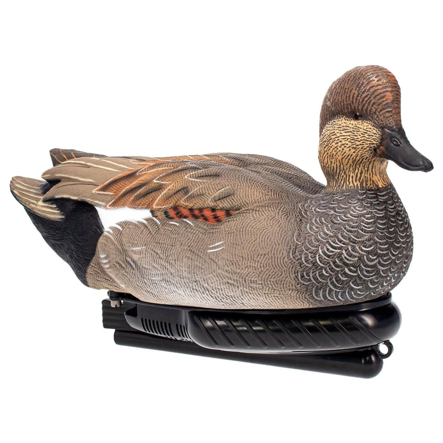 Avian X Power Swimmer/Pintail Drake