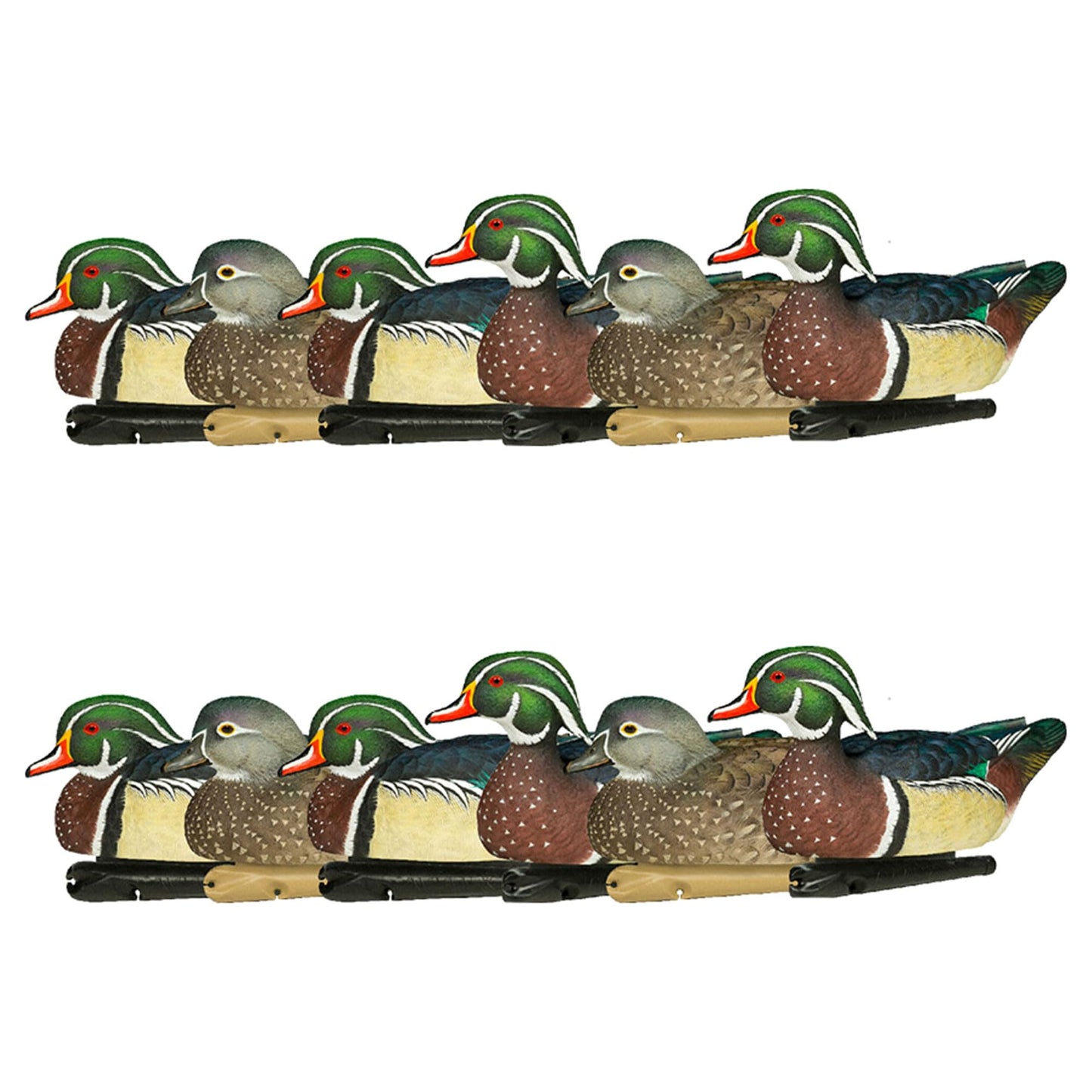 Avian X Topflight Pintail Decoys, Rugged Realistic Floating Duck Decoys for Hunting, Weight-Forward Swim Keel